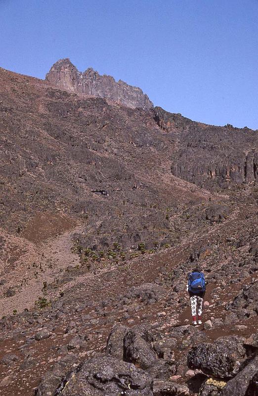 WT 1400 217-33 Kenya.jpg